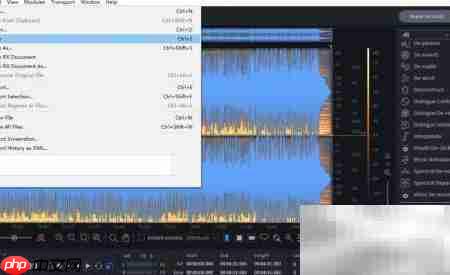 iZotope RX去人声做伴奏