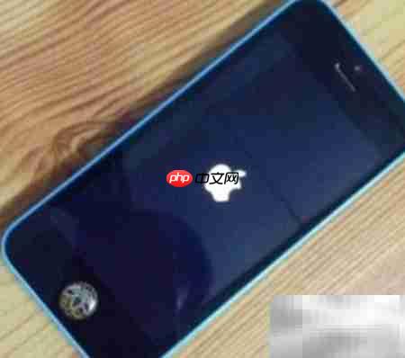iPhone虚拟Home键防损坏
