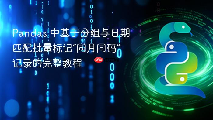 Pandas 中基于分组与日期匹配批量标记“同月同码”记录的完整教程