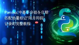 Pandas 中基于分组与日期匹配批量标记“同月同码”记录的完整教程
