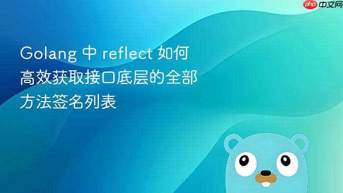 golang 中 reflect 如何高效获取接口底层的全部方法签名列表