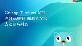 golang 中 reflect 如何高效获取接口底层的全部方法签名列表