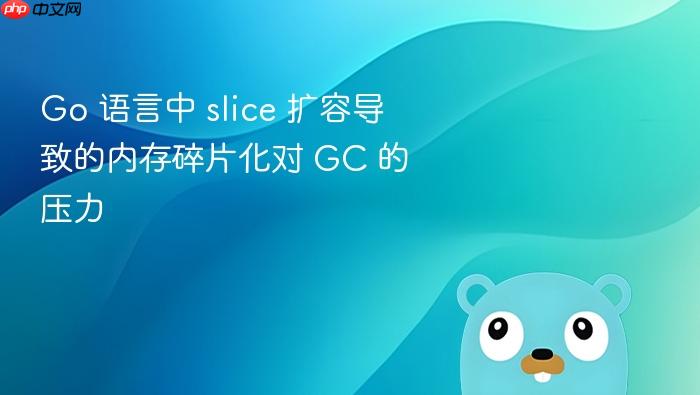 go 语言中 slice 扩容导致的内存碎片化对 gc 的压力
