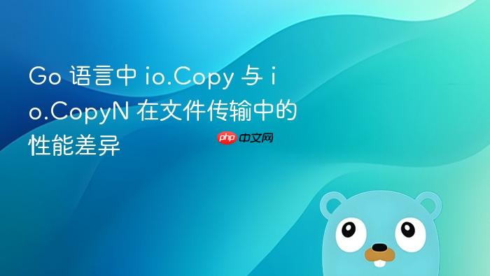 go 语言中 io.copy 与 io.copyn 在文件传输中的性能差异