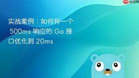实战案例：如何将一个 500ms 响应的 go 接口优化到 20ms