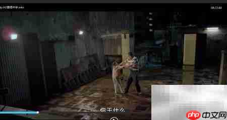 风影播放器字幕字体修改指南
