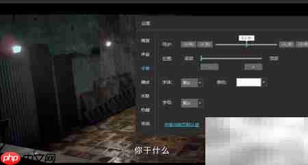 风影播放器字幕字体修改指南