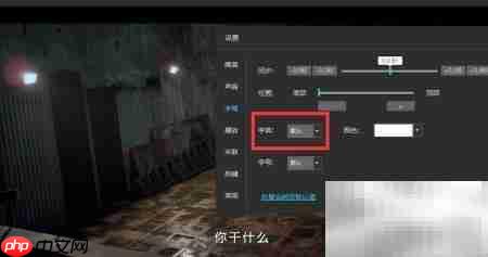 风影播放器字幕字体修改指南
