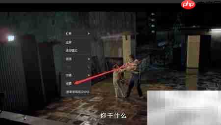 风影播放器字幕字体修改指南