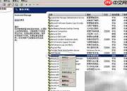 WinServer 2003启用Protected Storage