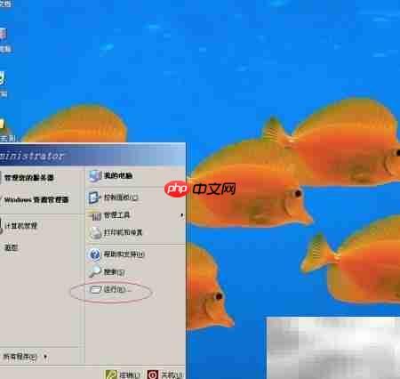 WinServer 2003启用Protected Storage
