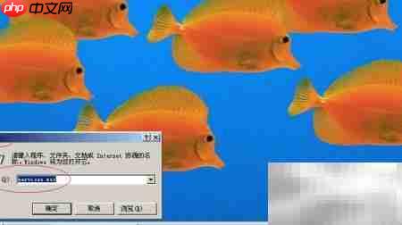 WinServer 2003启用Protected Storage
