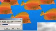 WinServer 2003启用Protected Storage