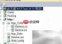 Delphi调用WCF服务技巧