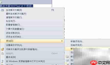 Delphi调用WCF服务技巧