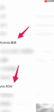 手机版本号查看方法