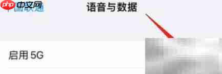 iPhone 13 Pro Max开启5G教程