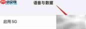 iPhone 13 Pro Max开启5G教程