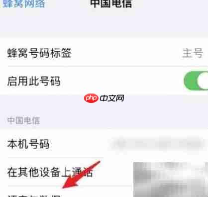 iPhone 13 Pro Max开启5G教程