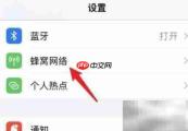 iPhone 13 Pro Max开启5G教程