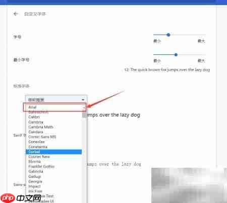 谷歌浏览器字体设为Arial教程