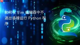 如何在 Vim 编辑器中不退出直接运行 Python 程序
