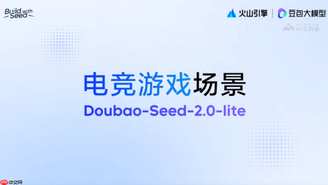 Doubao-Seed-2.0-lite— 字节推出的首款全模态理解模型