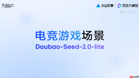 Doubao-Seed-2.0-lite— 字节推出的首款全模态理解模型