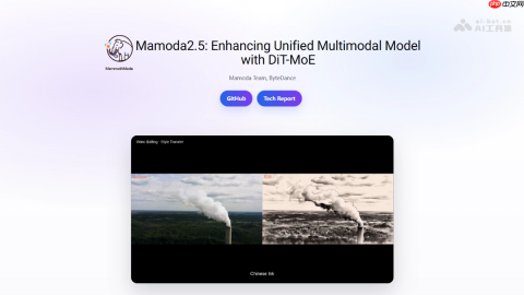 Mamoda2.5— 字节跳动推出的统一多模态模型