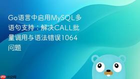 Go语言中启用MySQL多语句支持:解决CALL批量调用与语法错误1064问题