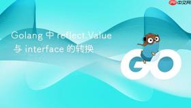 golang 中 reflect.value 与 interface 的转换