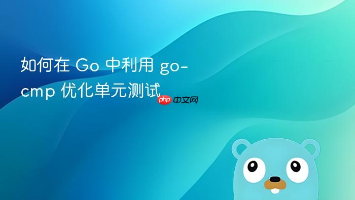 如何在 go 中利用 go-cmp 优化单元测试