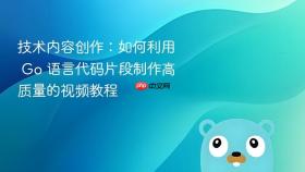 技术内容创作：如何利用 go 语言代码片段制作高质量的视频教程