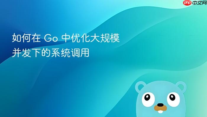 如何在 go 中优化大规模并发下的系统调用