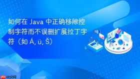 如何在 Java 中正确移除控制字符而不误删扩展拉丁字符(如 Á, ü, Š)