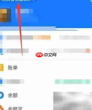 支付宝权限设置位置指南
