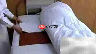 药师报考指南:流程与条件