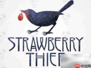 Strawberry Thief：邂逅古典西风