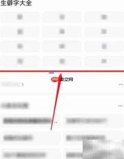 生僻字查询大全