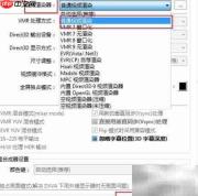PotPlayer 64位视频渲染设置