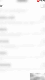 如何开启咔咔语音隐身功能