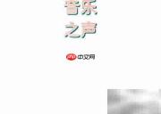 音乐之声手抄报精彩呈现