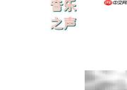 音乐之声手抄报精彩呈现