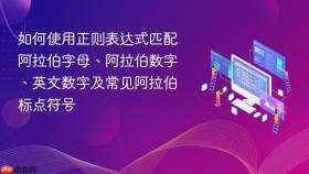 如何使用正则表达式匹配阿拉伯字母、阿拉伯数字、英文数字及常见阿拉伯标点符号
