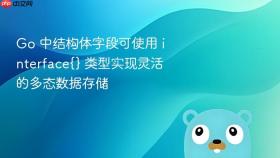 Go 中结构体字段可使用 interface{} 类型实现灵活的多态数据存储
