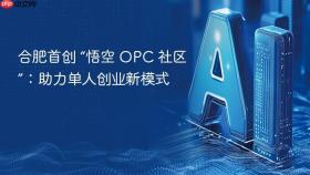 ​合肥首创 “悟空 opc 社区”：助力单人创业新模式