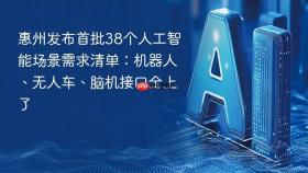 惠州发布首批38个人工智能场景需求清单:机器人、无人车、脑机接口全上了
