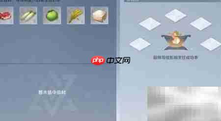 诺亚之心大盘鸡秘方