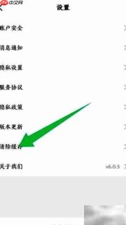 查博士清缓存方法