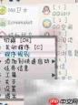 诺基亚S60 V3开机白屏解决